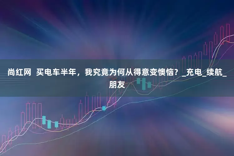 尚红网  买电车半年，我究竟为何从得意变懊恼？_充电_续航_朋友
